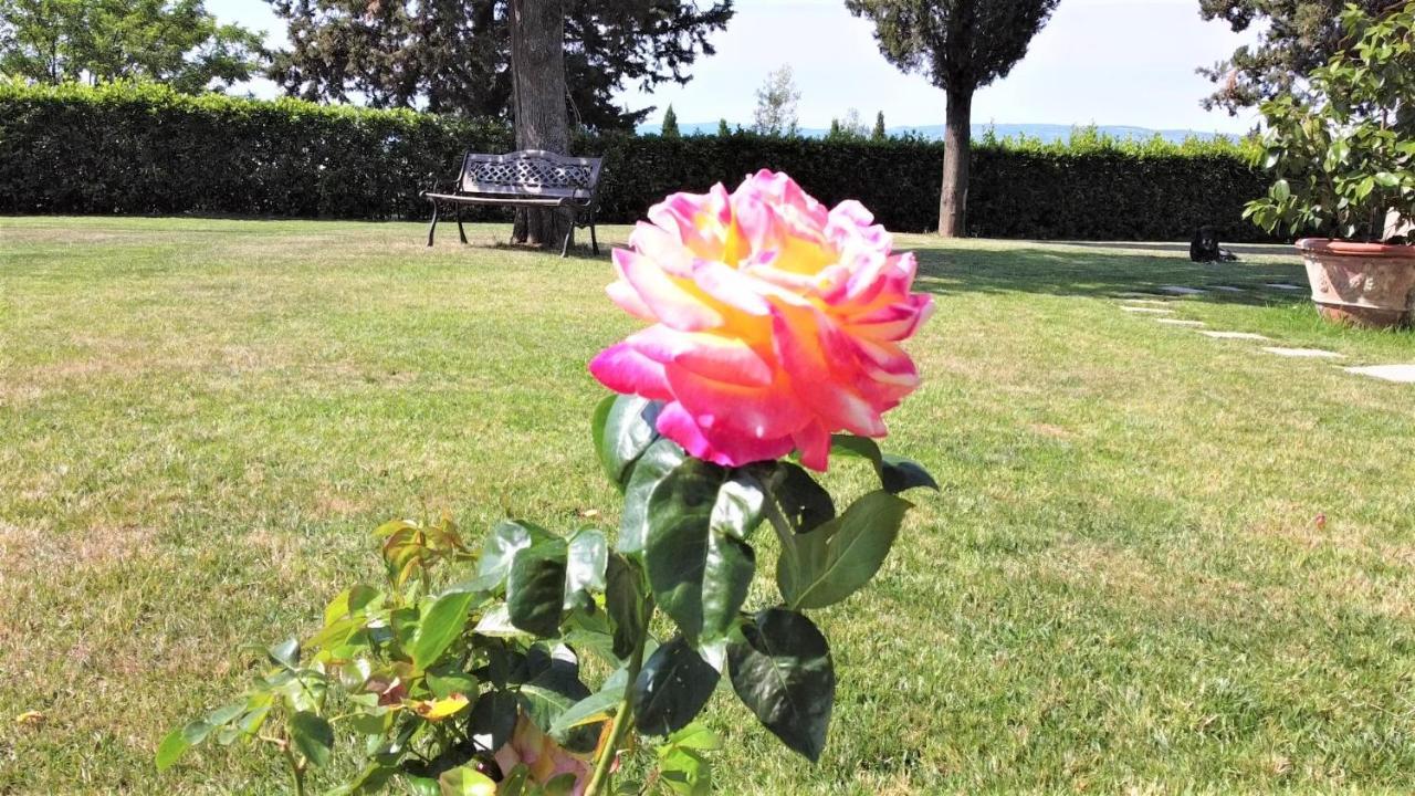 Tenuta Barbadoro Agriturismo Apartment Montespertoli Kültér fotó