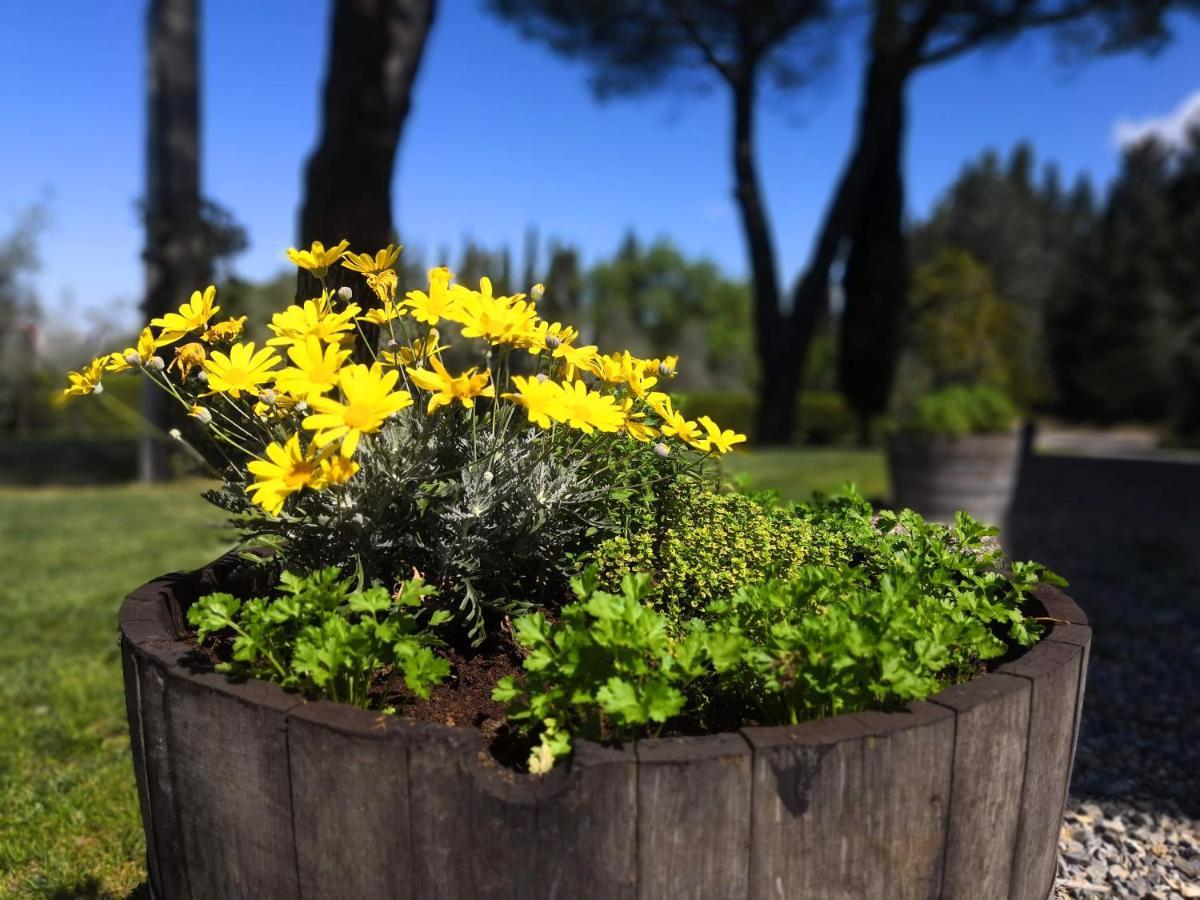 Tenuta Barbadoro Agriturismo Apartment Montespertoli Kültér fotó